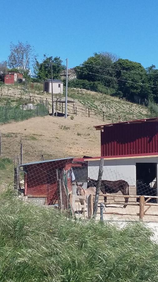 Alla Contrada Degli Asinelli Colle d'Anchise Exterior foto